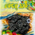 မေမေ့သမီး ဇီးစေ့လွတ်စပ် MAY MAY THAMEE  SEEDLESS PLUM -SPICY (5 PACKS)